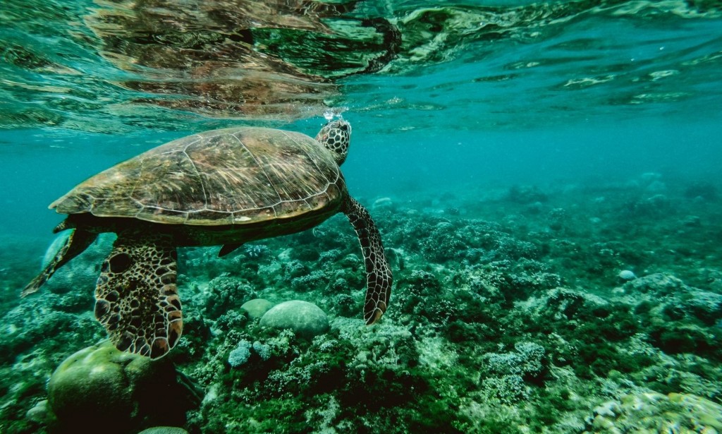 WHY PHILIPPINES IS THE BEST TRAVEL DESTINATION IN ASIA?