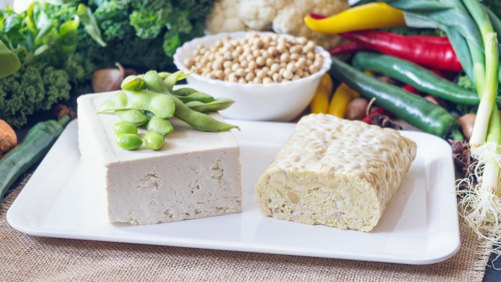 Difference of Tofu and Tempeh