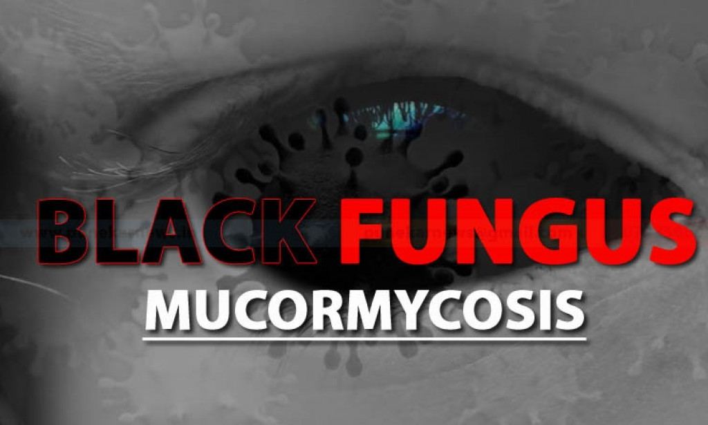 Black Fungus : New Epidemic Of India
