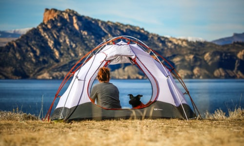 Tips For Camping With Your Dog