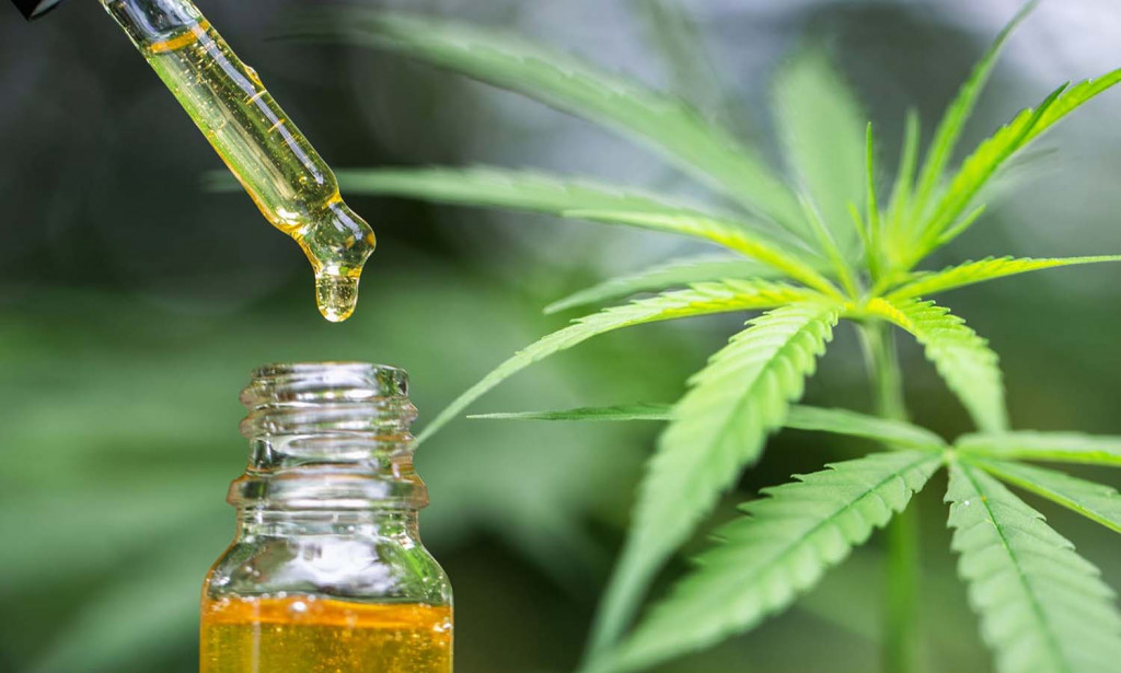 The Importance of CBD oil in the human body