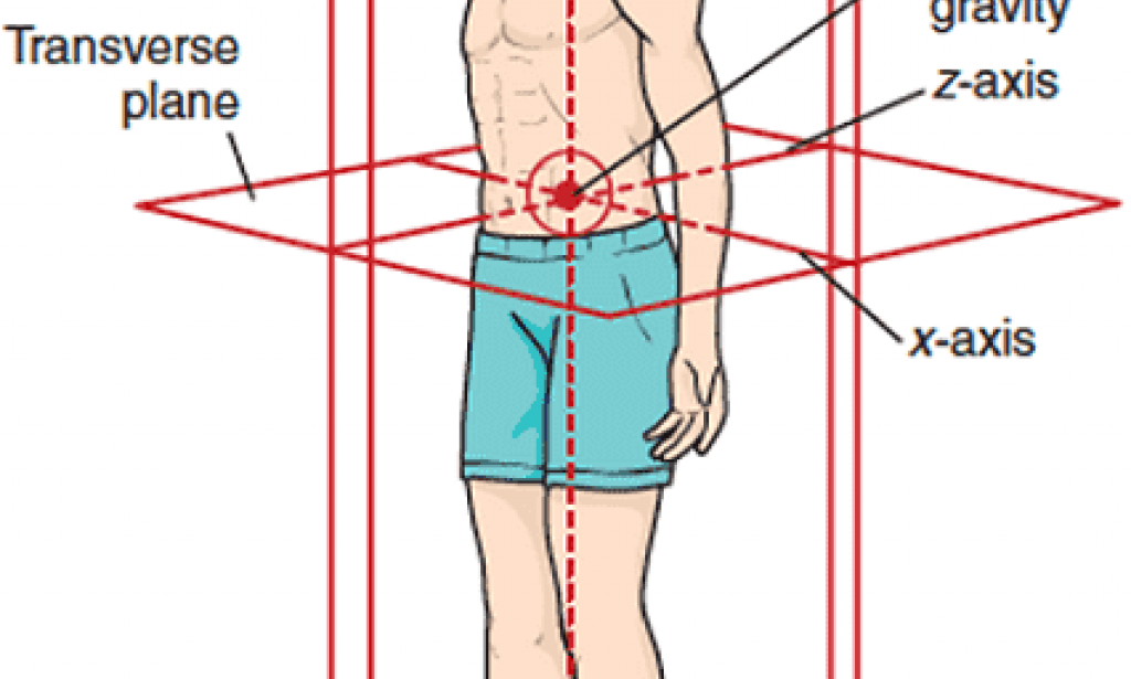 What Is a Y - Tape Adjustment?