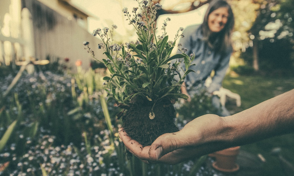 The Best Tips for Gardeners - 11 Ways to Beautify Your Gardens