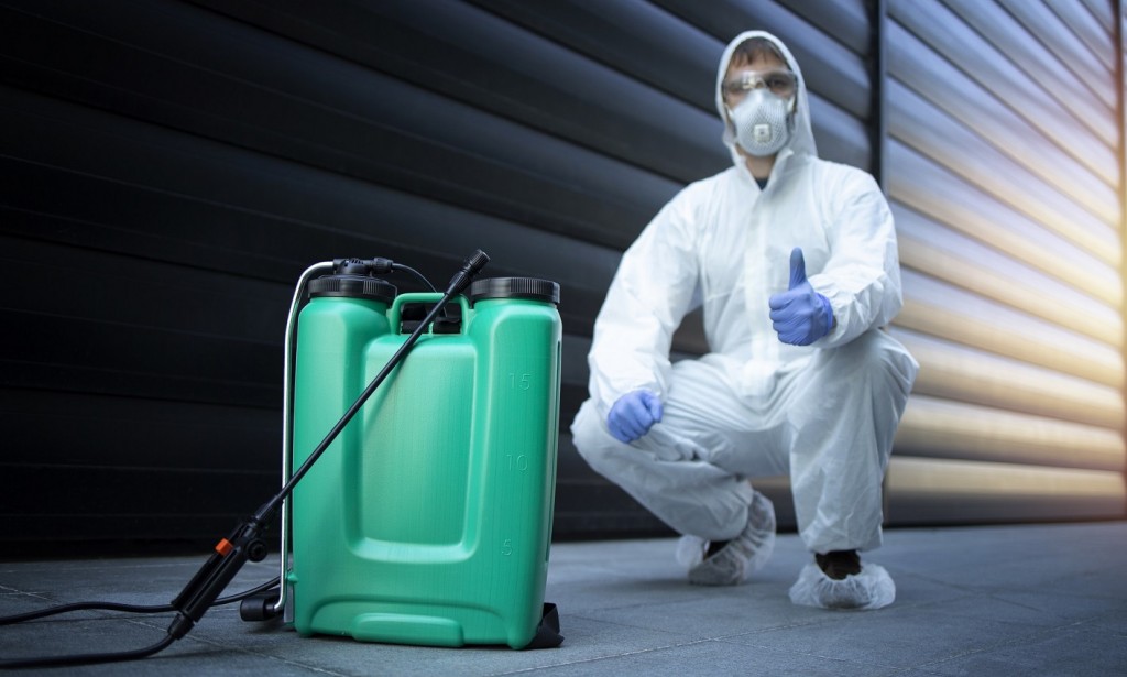 Top 5 Reasons why cockroach control is important