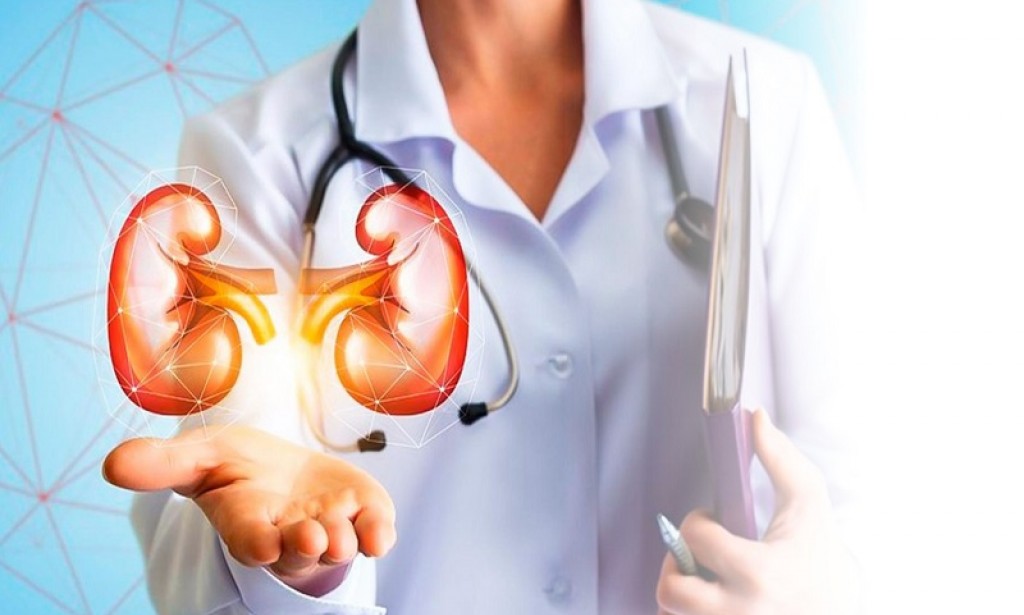 Management of Chronic Kidney Disease in India